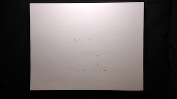 The Graph of a Polynomial - Roots and Multiplicity