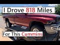 I Drove 818 Miles For This 2nd Gen Dodge Cummins - (I stole it...)