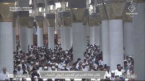 صلاة الفجر للشيخ محمد بن أحمد برهجي من المسجد النبوي الشريف 28 صفر 1447 من سورة النساء 