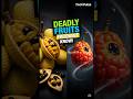 Ackee Fruit: Delicious but Deadly? 😱 Exotic Food Facts Revealed!”