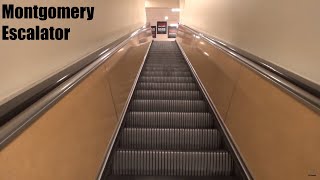 Montgomery Escalator @ JCPenney - Brookfield Square - Brookfield, WI