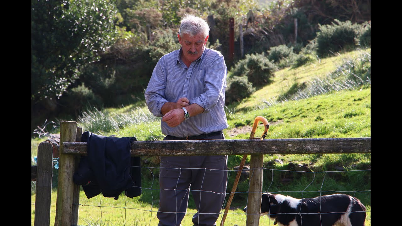Sheep dog demonstration at Kells Sheep Centre, Gleensk, Co. Kerry
