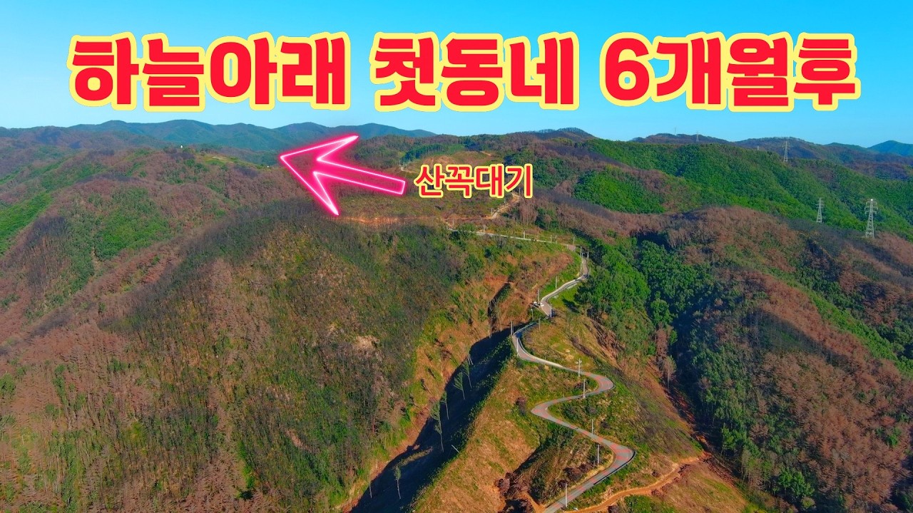 악몽의 산불이 지나간후  6개월후 하늘아래 첫동네 지금은?