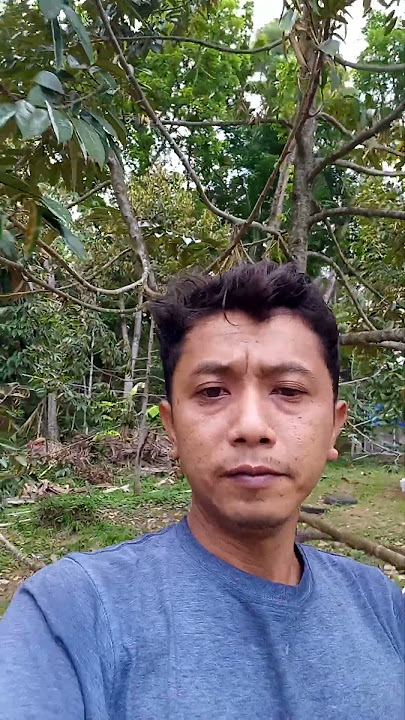 Bunga pada rontook#durian #fypシ #pollarise