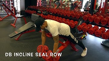 DB Incline Seal Row