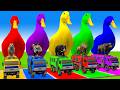 Long Slide Game With Cow Elephant Gorilla Hippopotamus Tiger 3d Animal Game Funny 3d Animals