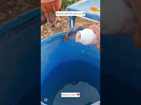 اسباب تنفيل ثمار الخيار والحل لها