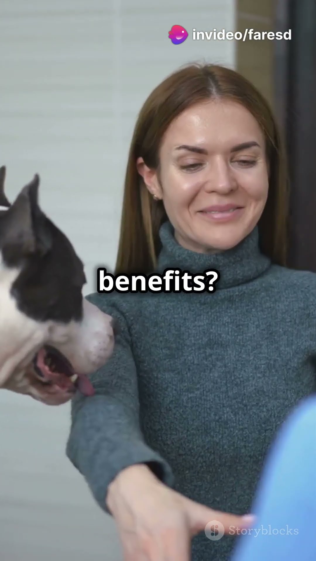 How To Certify Your Emotional Support Dog shorts YouTube How To Certify Your Emotional Support Dog shorts YouTube