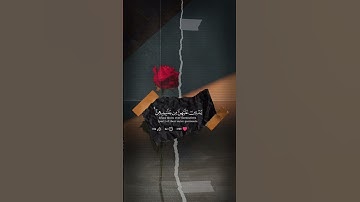 تلاوه هادئه تريح الأعصاب 😴🎧القارئ الشيخ احمد النفيس #اكتب_شي_تؤجر_عليه