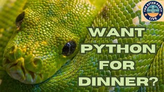 Python! It’s What’s For Dinner….or not. 3/18/24
