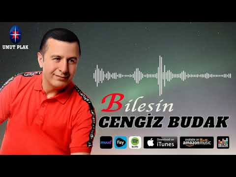 Cengiz Budak -