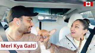 Cheekuu Ne Pareshan Kar Diya Hai || My Chihuahua's Tantrums || Chihuahua Vlog