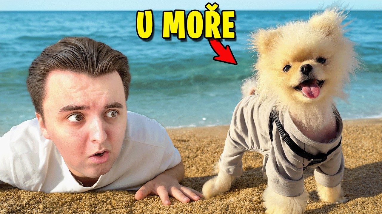 Bingo Poprvé u Moře!