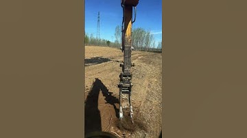 I am very serious about uprooting tree roots #shorts