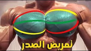 اقوى تمارين لتفجير عضلات صدر بدون اوزان