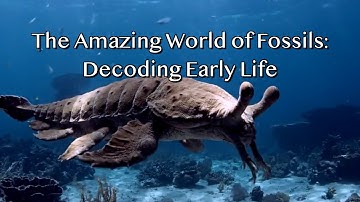 The Amazing World of Fossils: Decoding Early Life