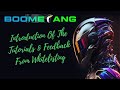 Waas  boomerang  intro to tutorials