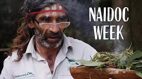 NAIDOC Week at Taronga - Leslie McLeod talks Corro...