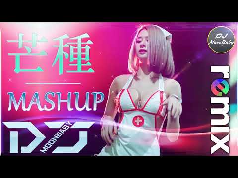 CHINESE DJ REMIX【 芒種 Mashup 】『DJ Remix』動態歌詞 / 完整高清音質 | DJ Moonbaby