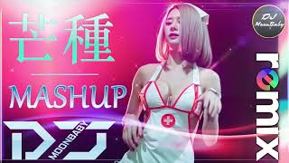 CHINESE DJ REMIX【 芒種 Mashup 】『DJ Remix』動態歌詞 / 完整高清音質 | DJ Moonbaby