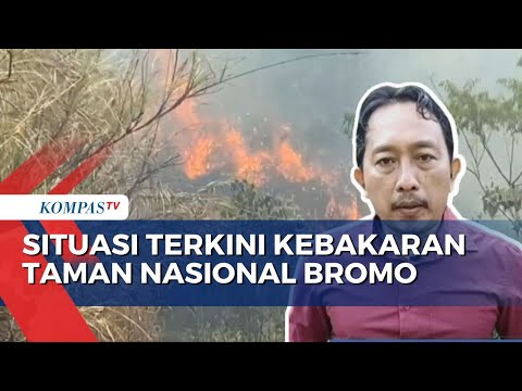 Update Kebakaran Taman Nasional Bromo Tengger Semeru: Api Masih Sulit Dipadamkan
