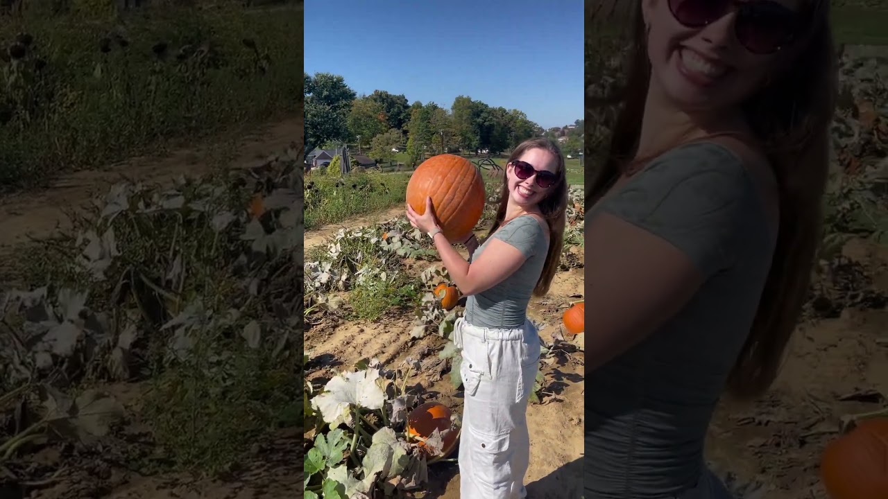 True Fit Adventures - Trax Farm Market & The SpringHouse