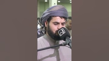 Raad Al kurdi Whatsapp status/ رعد الكردي حالات واتس اب / سورة محمد