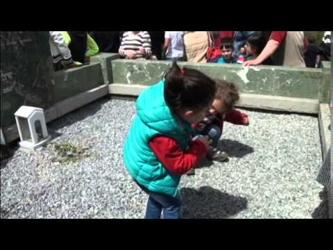 გოდერძი და ომარ ელოშვილების საპატივსაცემოდ გამართული დოღი 2