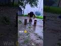 how to push ups workout abs #motivation #abs #pushups #shorts #workout #gym #hardwork #viral #reels