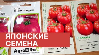 Семена Гавриш. Семена томатов 2023