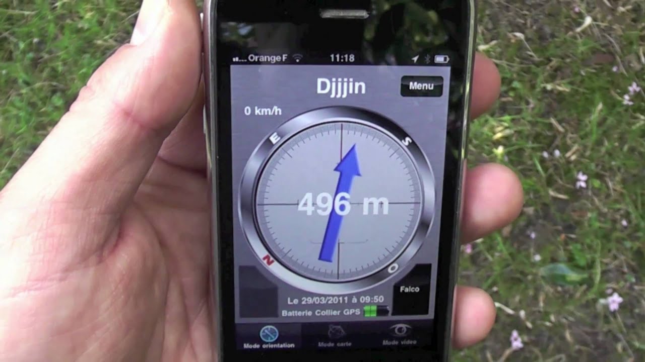 Collier de repérage GPS GEONIMO pour chiens courants - YouTube