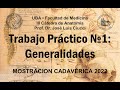 Mostracin cadavrica 2022  generalidades