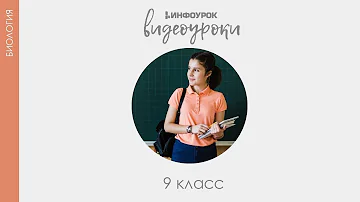 Какие есть факторы внешней среды