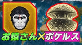 ポケモンサンムーン 10 ポケルス感染したから配布する ポケモンsm Youtube