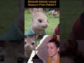 Elizabeth Debicki as Mopsy in Peter Rabbit 2 #shorts