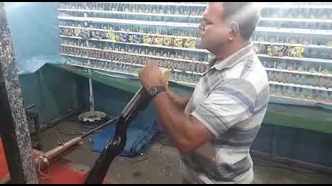26 de novembro de 2022