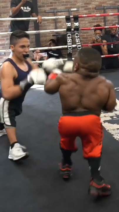 BOXING MATCH MANUSIA PENDEK#boxing match#boxing#shorts