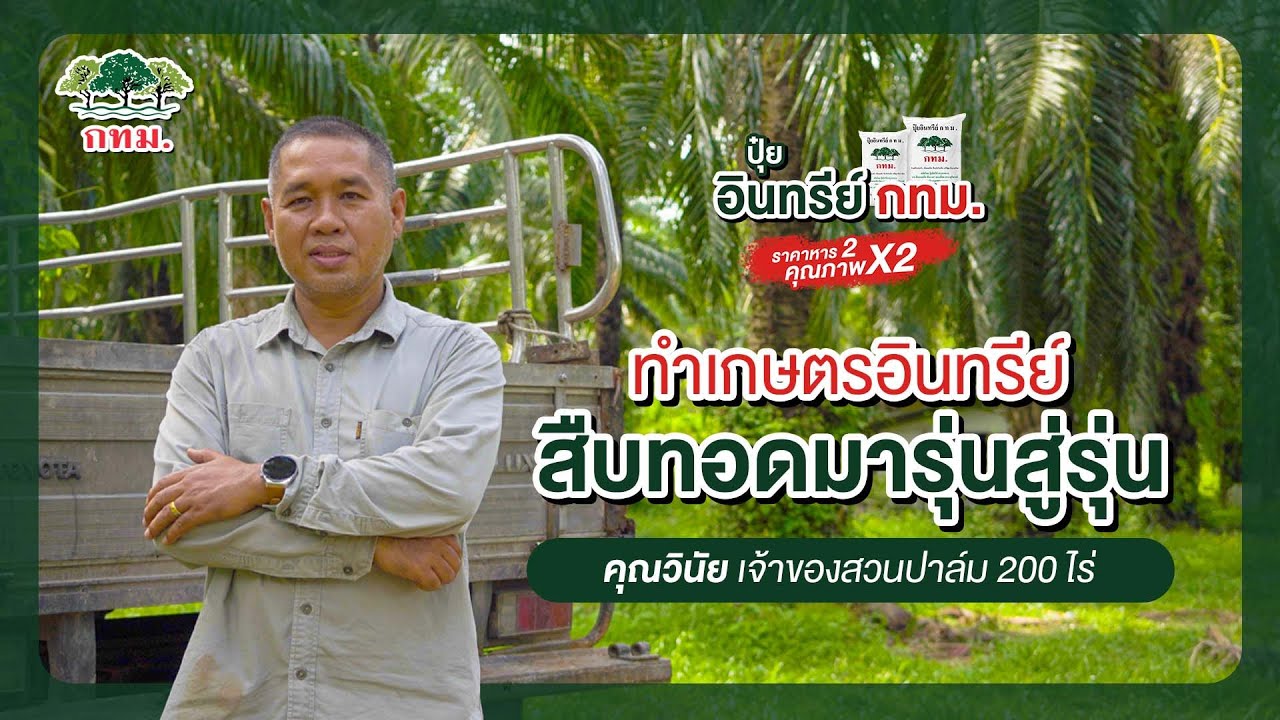 ✨ลดต้นทุน เพิ่มผลผลิต! ประสบการณ์จริงเจ้าของสวนปาล์ม จังหวัดชุมพร | ปุ๋ยอินทรีย์ กทม.
