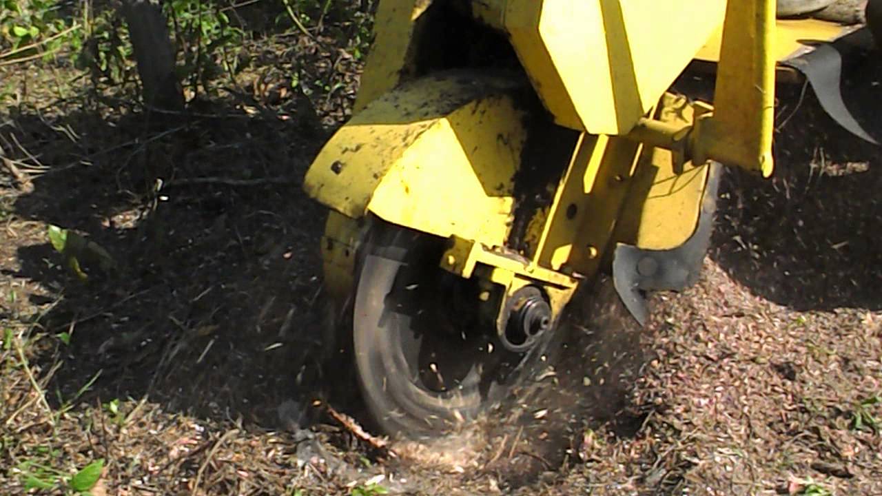 First Choice Tree Service Titusville Florida Stump Cutting Removal 2