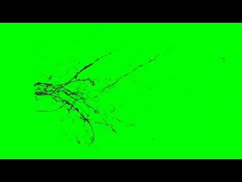 Blood Green Screen - YouTube