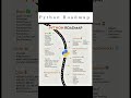 𝐃𝐚𝐲𝟐𝟏/𝟑𝟎 Python Roadmap 2025: Become a Pro Developer Step-by-Step 🐍💻 #learntocode #coding #python