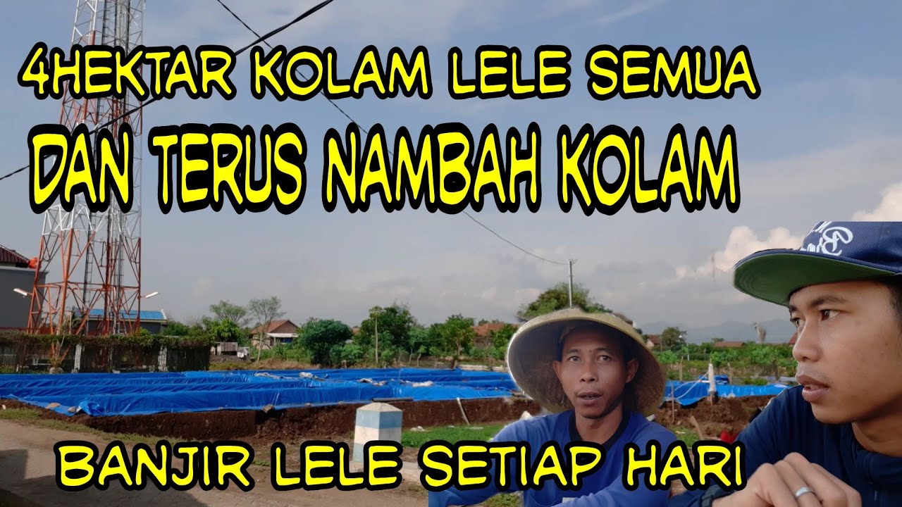 Ternak lele untung makanya tambah kolam lagi .. 