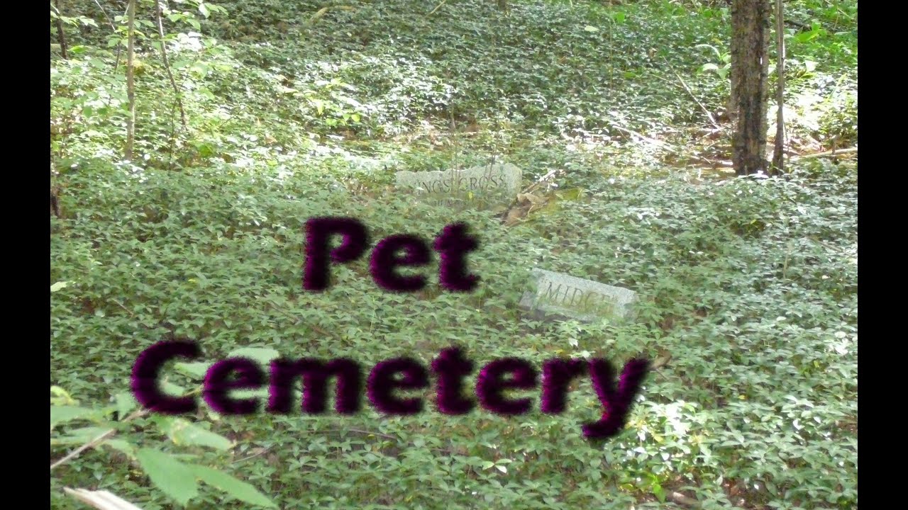 Old Abandoned Pet Cemetery - YouTube