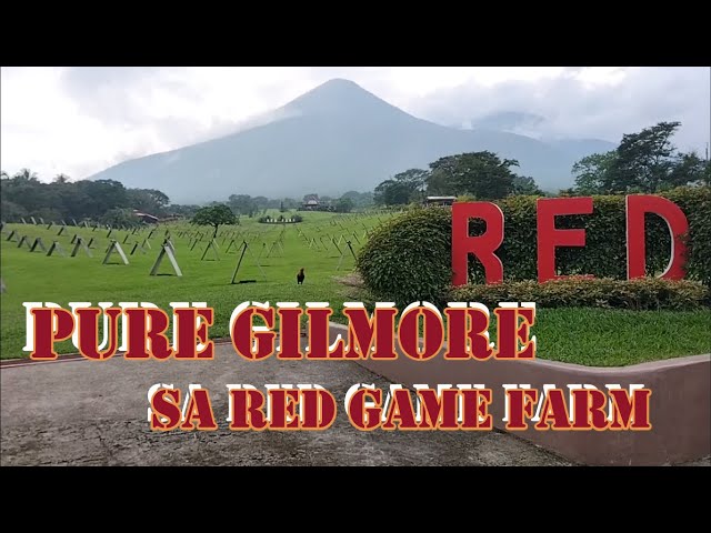 RED GAMEFARM (October 15, 2023) class=