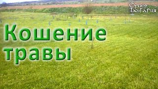 Кошение травы. Природное земледелие. Жизнь в Болгарии
