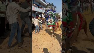 #jallikattu #aroundtelugu #ysjagangoverance #jaganfans #musicgenre #dj #bull #jaganannna #djremix