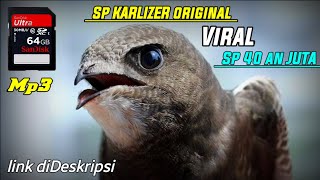 sp karlizer original | VIRAL SP 40 an juta
