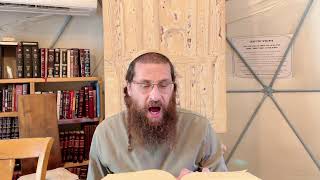 רבנו לייב🔥| פרישה של שמחה