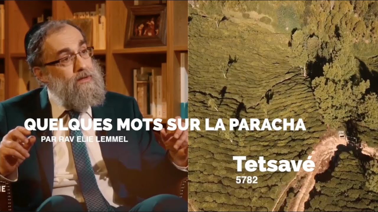 Des habits pour l'honneur et la splendeur? Quelques mots Paracha Tetsavé, par Rav Elie Lemmel - 5782