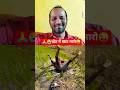 ЁЯЩПЁЯШнkhet Mein Khaat MaaroЁЯШЬ Farm Kheti Comedy Funny Comedyshorts Reaction Shorts ЁЯЩПЁЯШнkhet Mein Khaat MaaroЁЯШЬ Farm Kheti Comedy Funny Comedyshorts Reaction Shorts